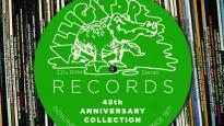 Alligator Records 45th Anniversary